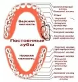 Комментарий №168197