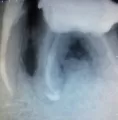 Комментарий №173601