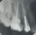 Комментарий №175944