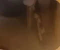 Комментарий №178399